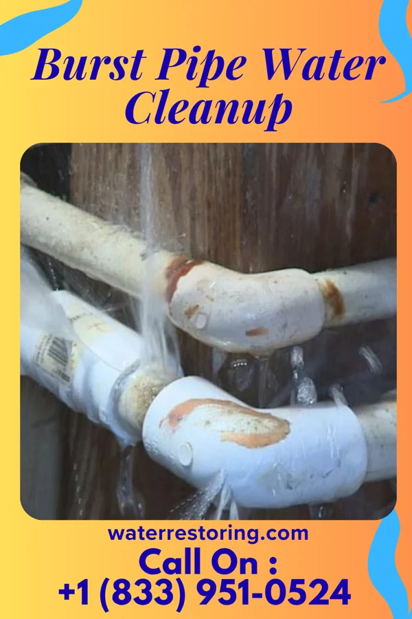 Burst Pipe Water Cleanup in Knightdale, NC