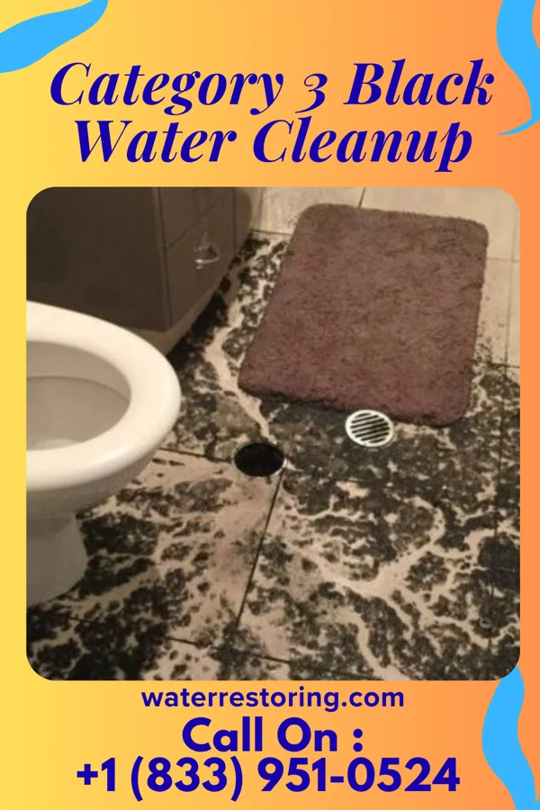Category 3 Black Water Cleanup in Knightdale, NC