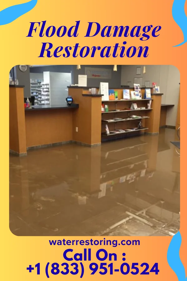Flood Damage Restoration in Knightdale, NC