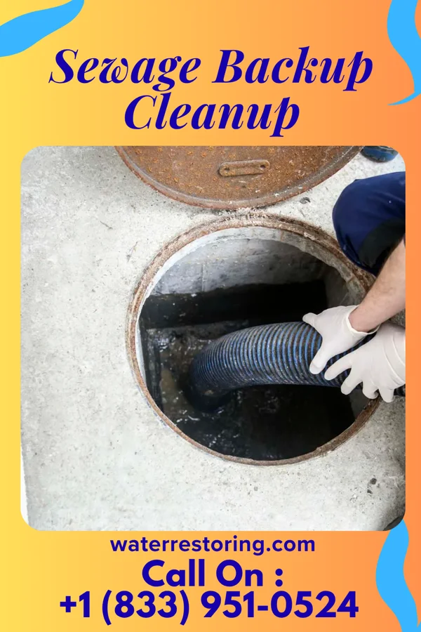 Sewage Backup Cleanup in Knightdale, NC