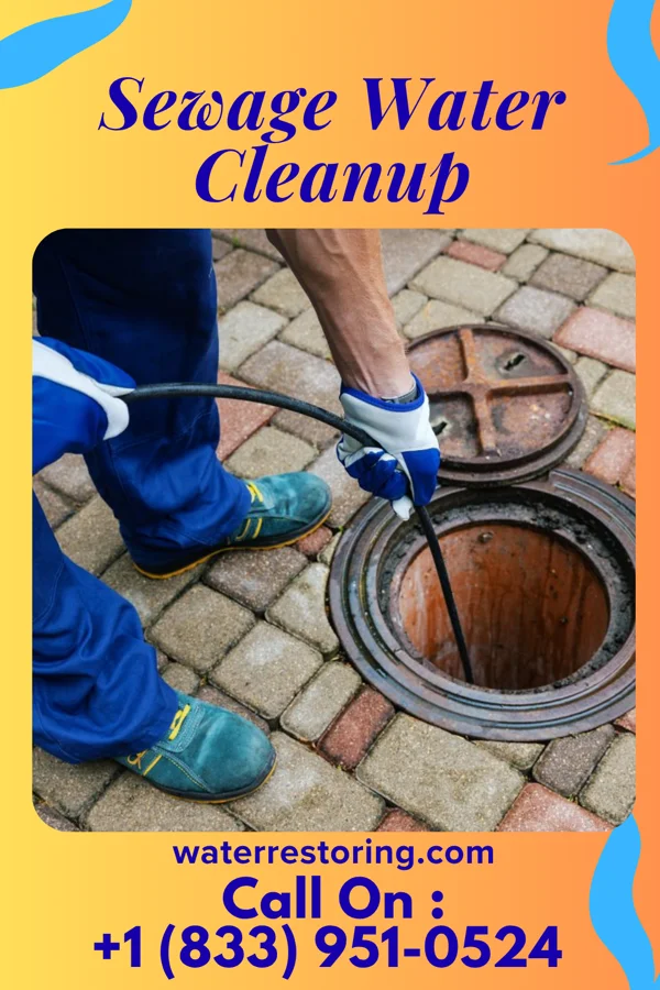 Sewage Water Cleanup in Knightdale, NC
