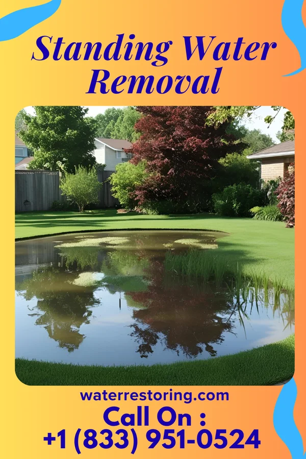 Standing Water Removal in Knightdale, NC